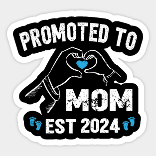 new pregnancy mom, mommy, mama 2024, promoted to new mom 2024 Sticker